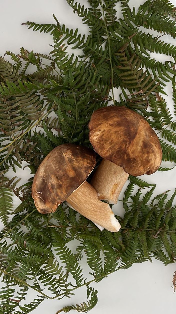 Autunno: voglia di&nbsp;fungo