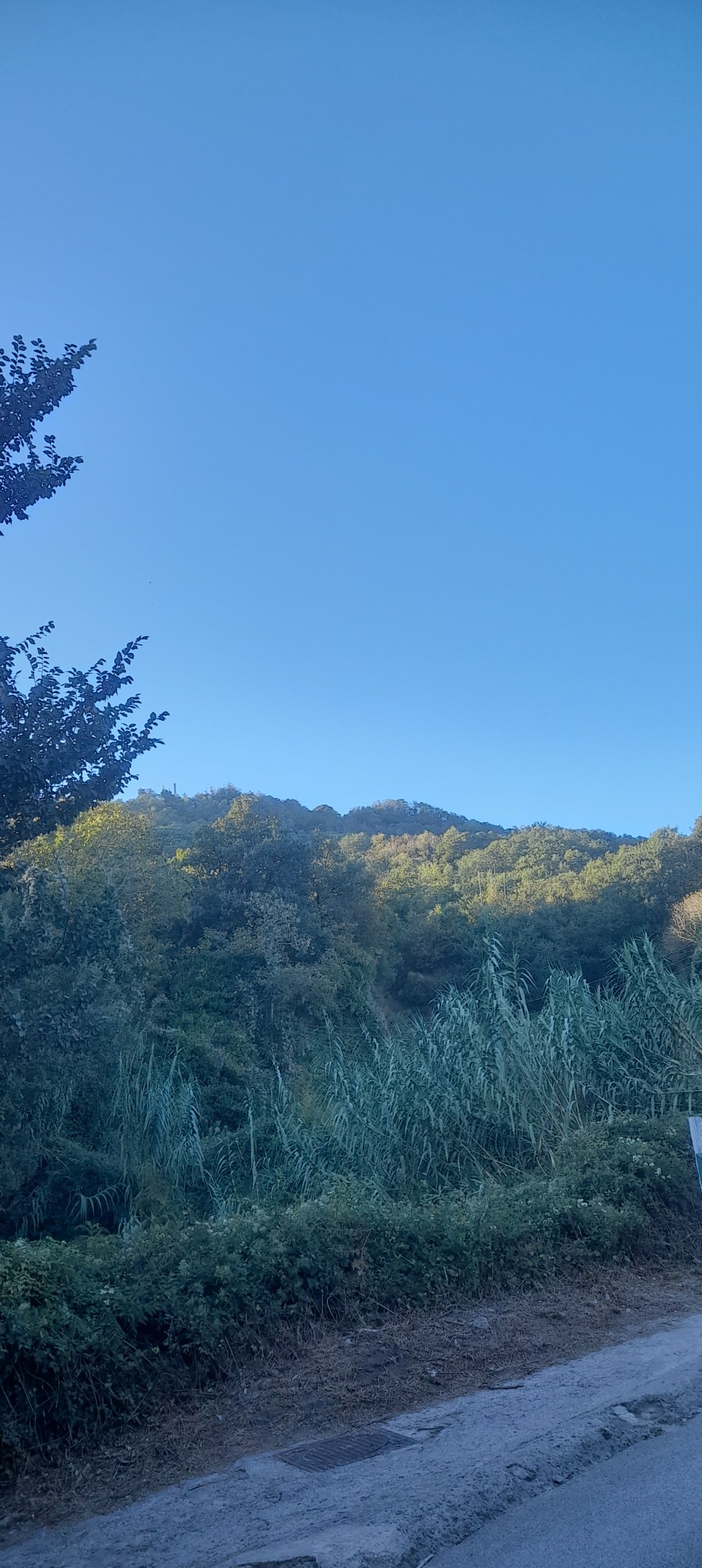 Sono un cittadino di Serrara&nbsp;Fontana