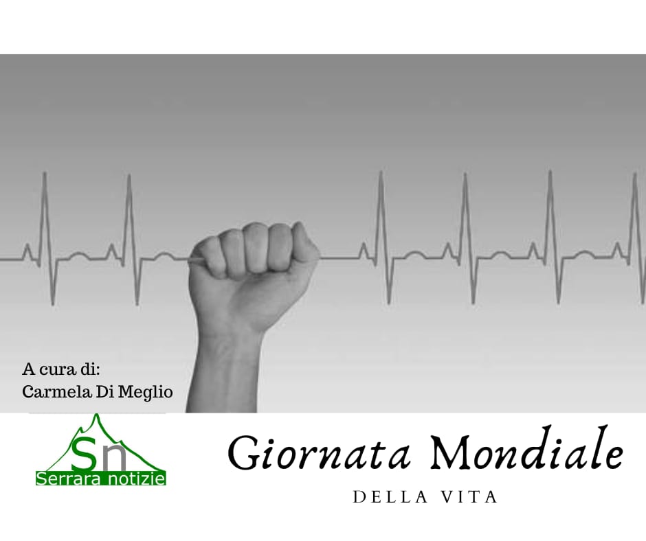 SN – Il diritto inalienabile della vita: “Ogni attimo vissuto vale un&nbsp;secolo”