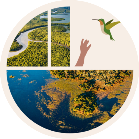 Zone Umide e Benessere umano: ecco&nbsp;perchè