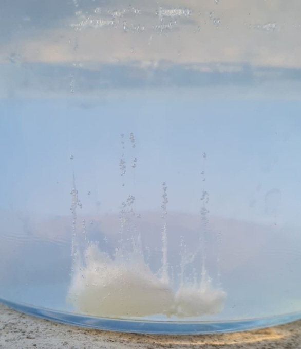 Magia: tra Incantesimi e&nbsp;Tradizioni