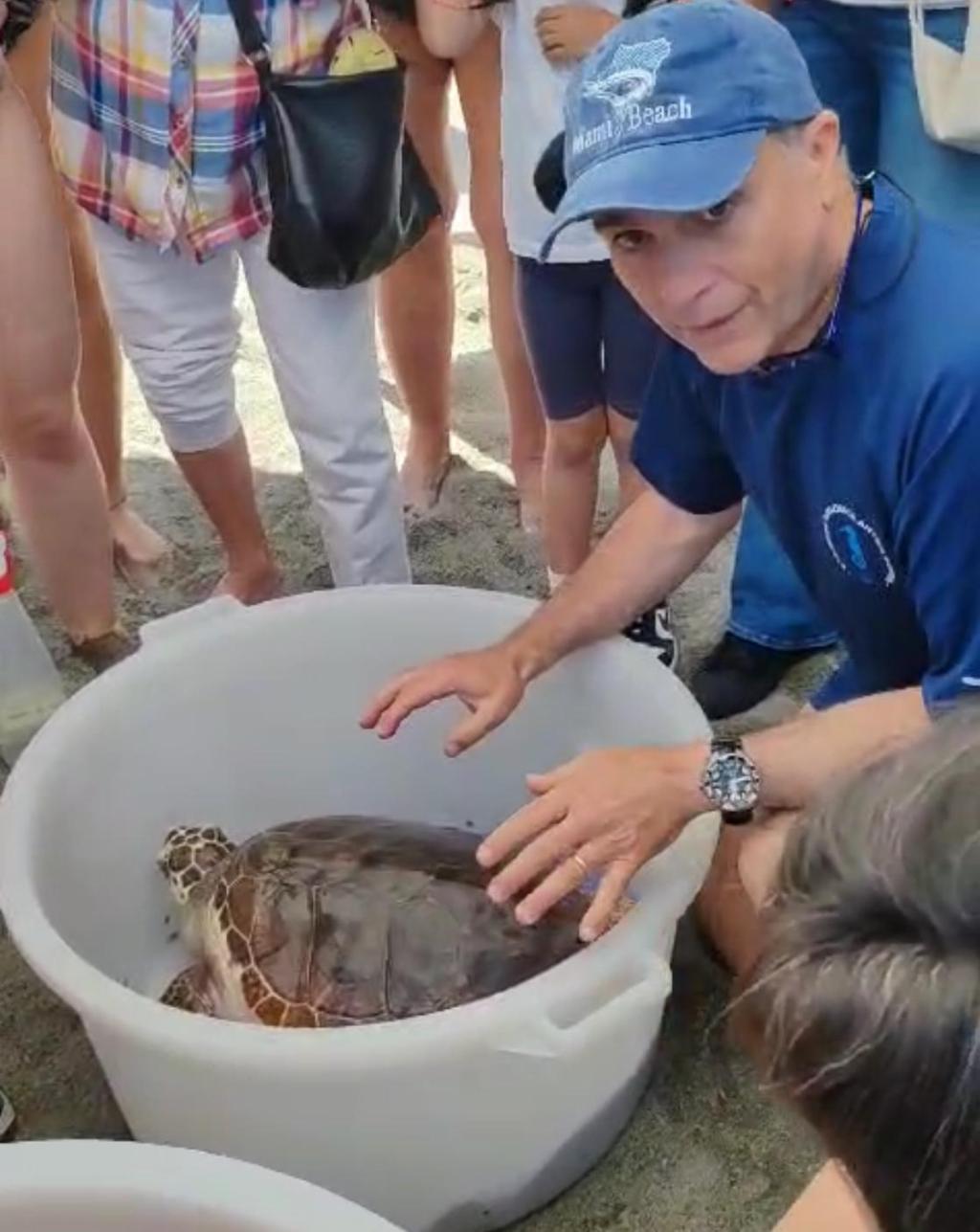 La seconda vita di Pepita, Medea e Caterino, le tre tartarughe marine Caretta Caretta rimesse in libertà nell’Area Marina&nbsp;Protetta