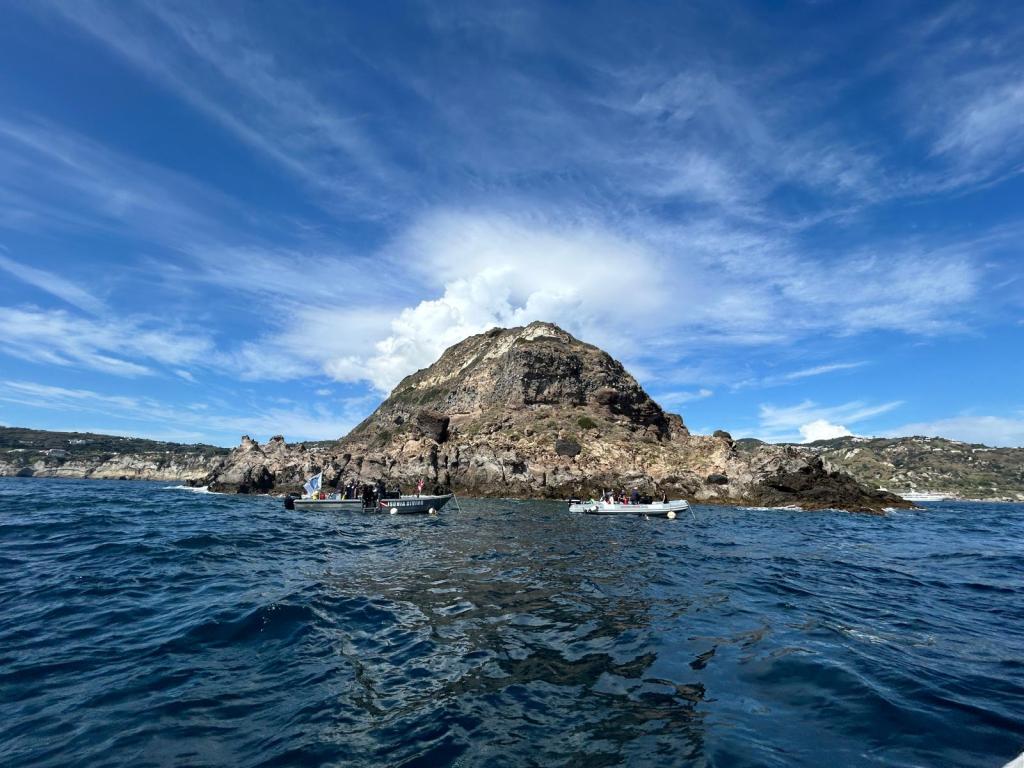 Campionati di fotografia e video subacquei: il mare di Sant’Angelo nuovamente&nbsp;protagonista