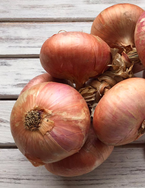 CUCINA & SAPORI:La Genovese, quando si dice “fischi per fiaschi”