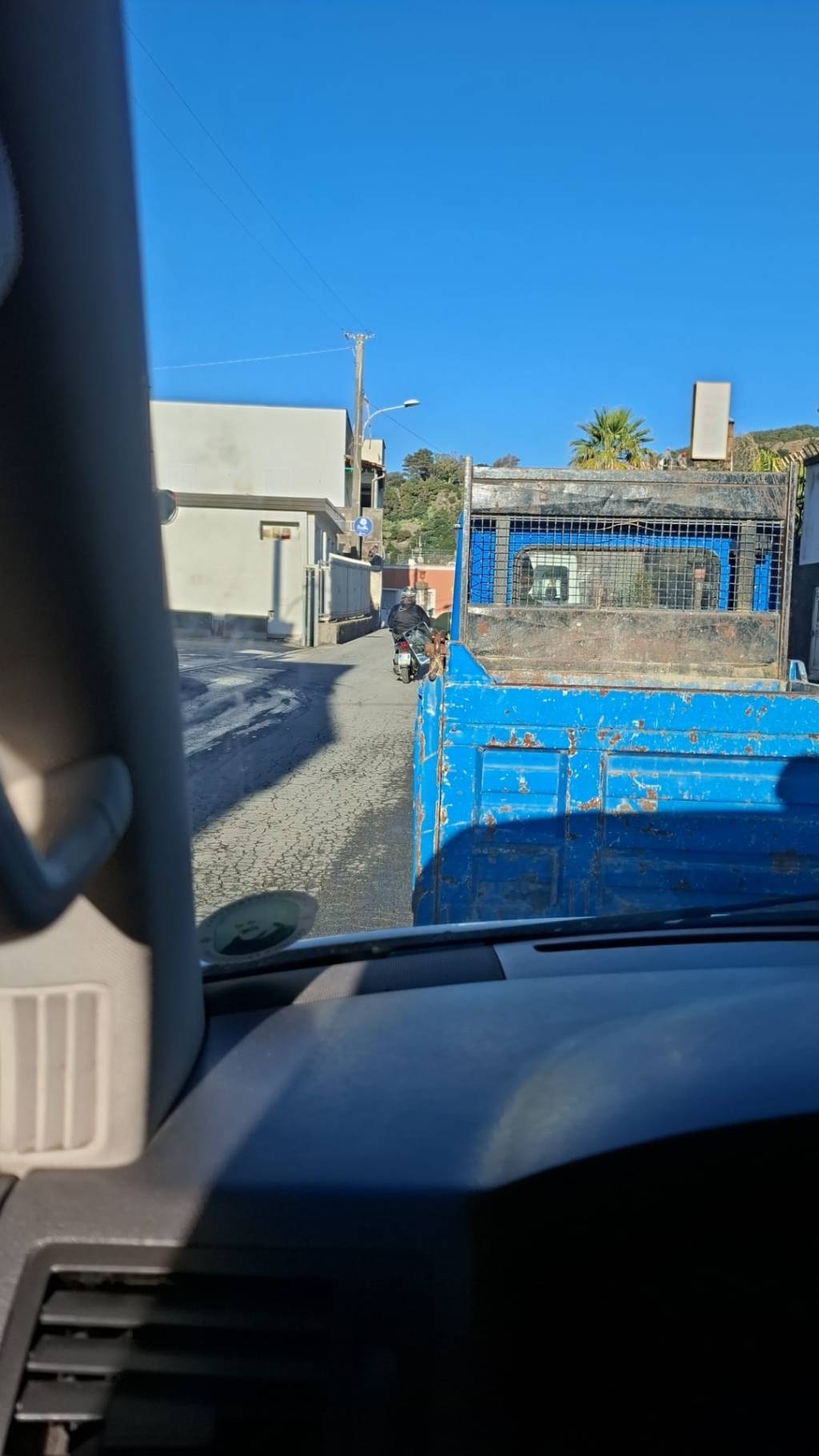 Forio: traffico sulla Strada Provinciale Lacco-Fango a causa di un intervento di taglio di un albero&nbsp;pericolante