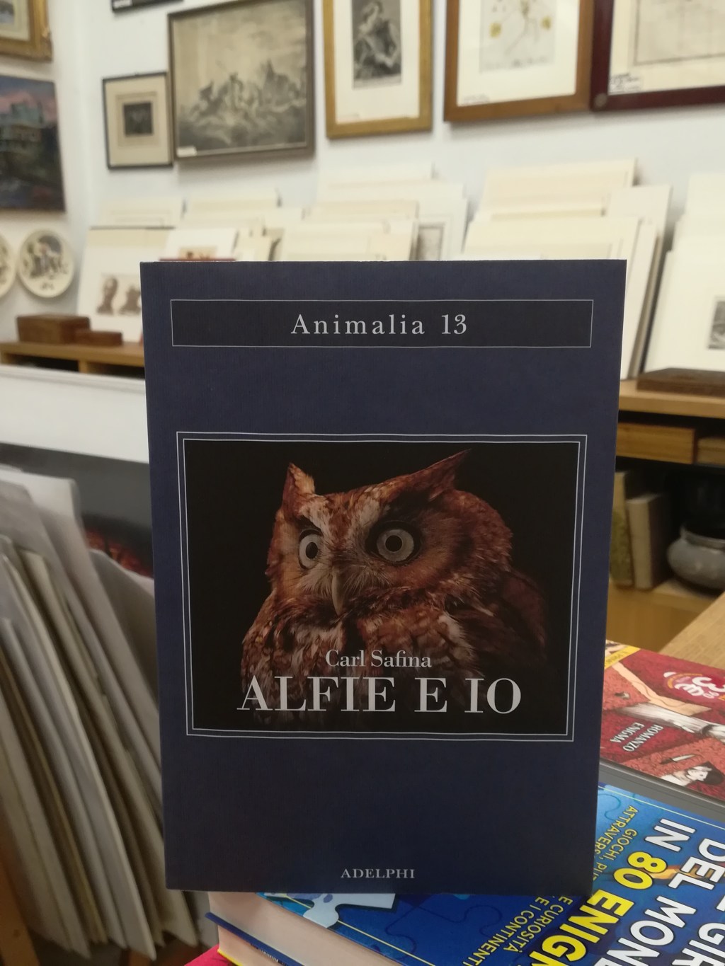 Per la rubrica “Libri in pillole” questa settimana vi presentiamo: Carl Safina “Alfie e&nbsp;io”