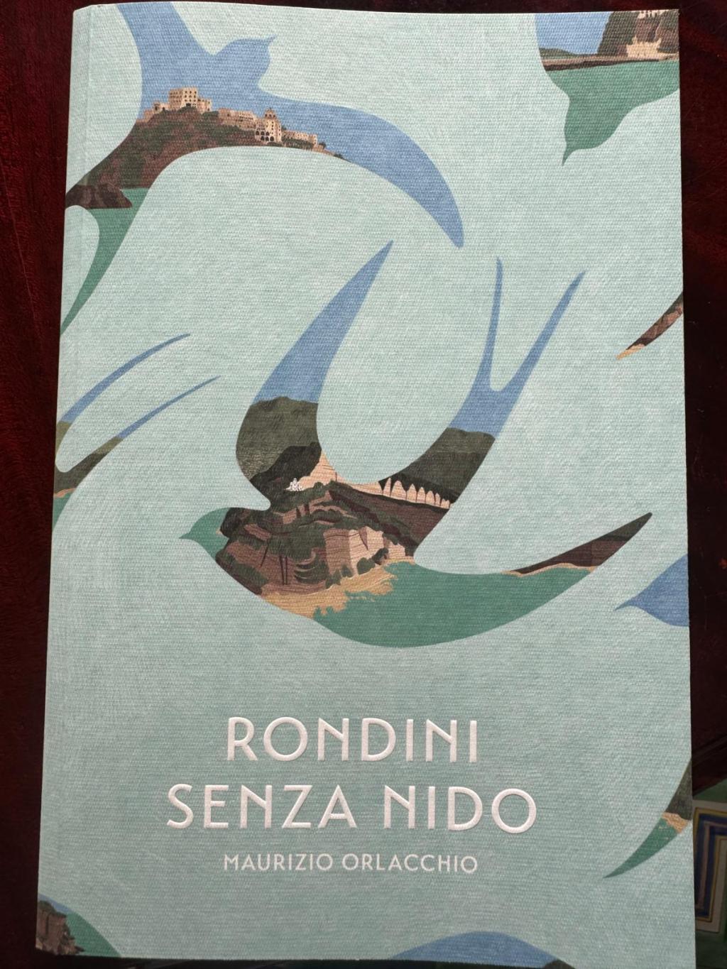 “Rondini senza nido”, il libro di Maurizio Orlacchio dedicato ad Ischia con finalità&nbsp;benefiche