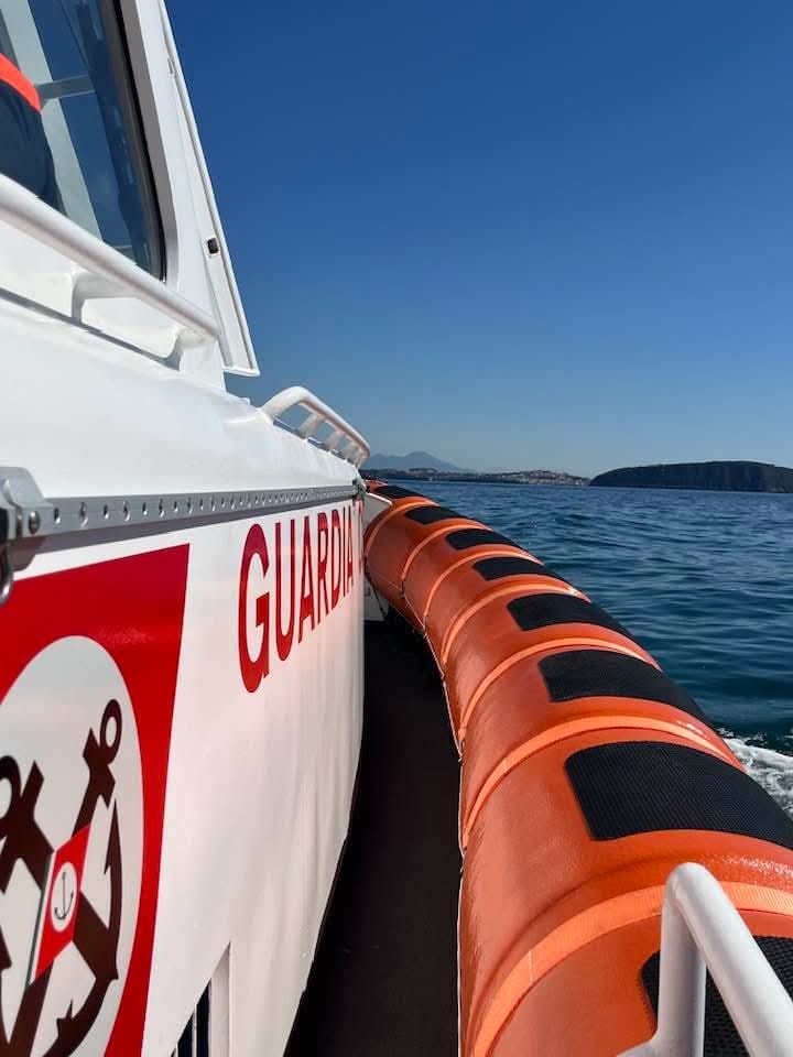 Guardia Costiera e cittadini salvano un delfino nel Canale di&nbsp;Procida