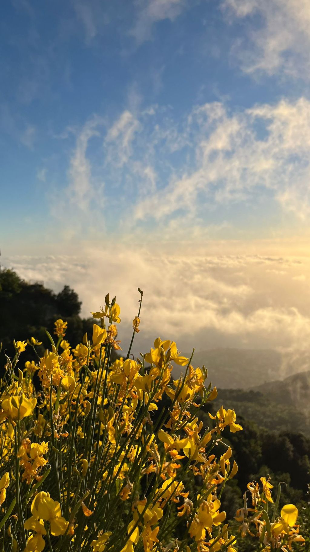 “Un’alba nuova nei cuori”: il messaggio pasquale di Don Antonio alla comunità di Serrara&nbsp;Fontana