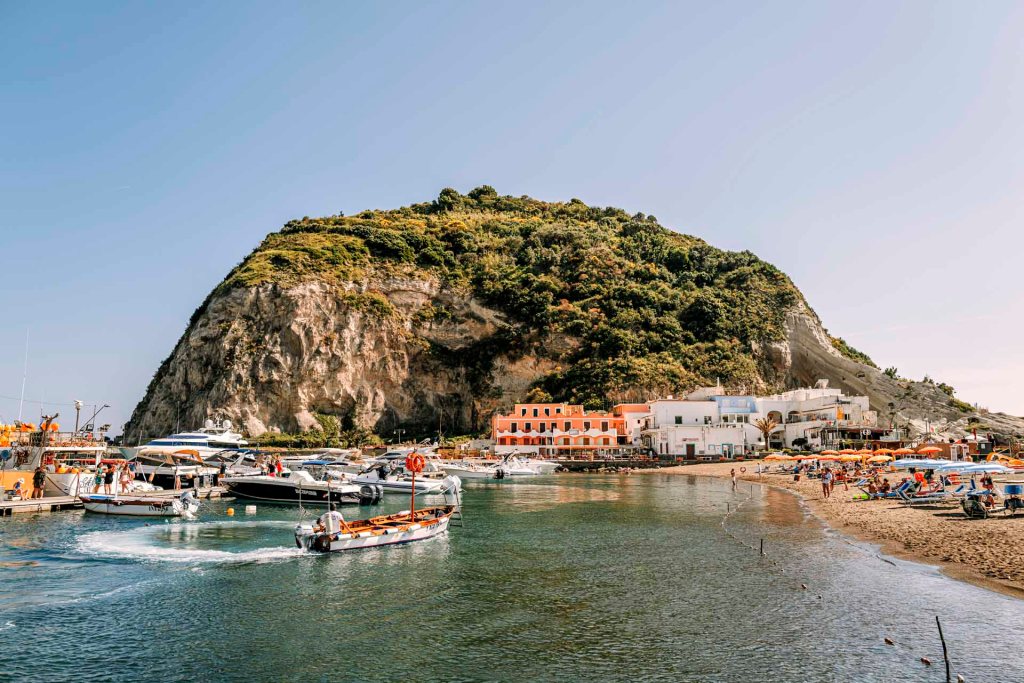 Delfini a prua: meraviglia in mare per i turisti con i battellieri di&nbsp;Sant’Angelo