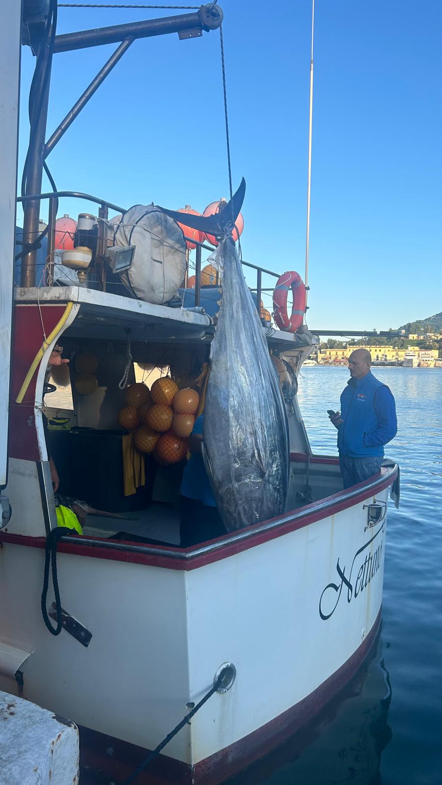 Il rito del tramonto: la magia della pesca del tonno rosso sull’isola d’Ischia
