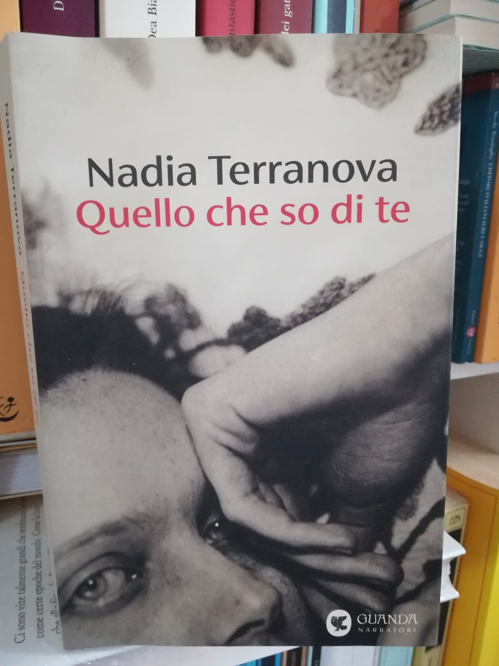 Per la rubrica “Libri in pillole” questa settimana vi presentiamo: Nadia Terranova “Quello che so di&nbsp;te”