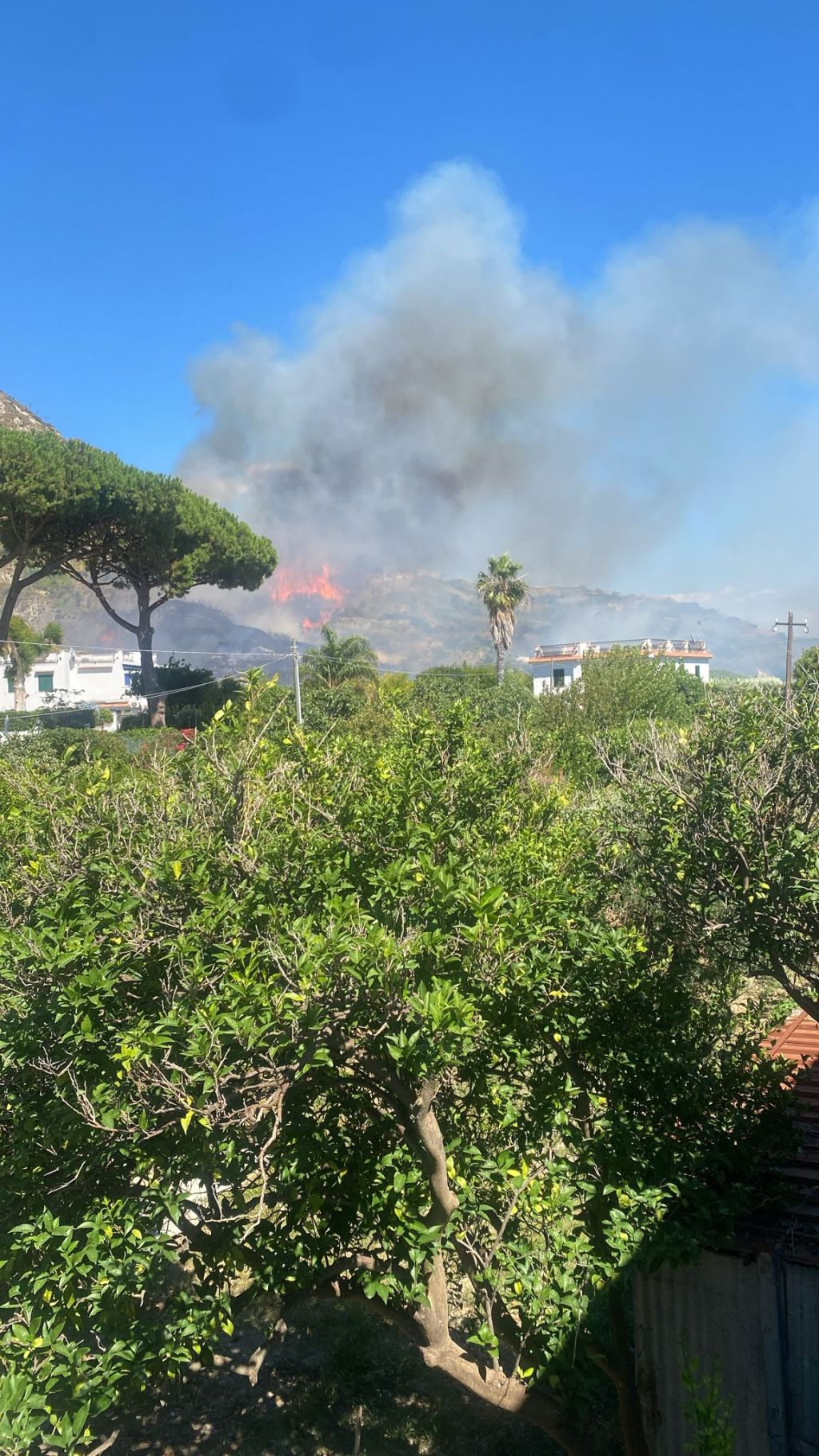 Cava Ruffano in fiamme: riprende vigore l’incendio boschivo. In arrivo l’elicottero antincendio (Il&nbsp;video)
