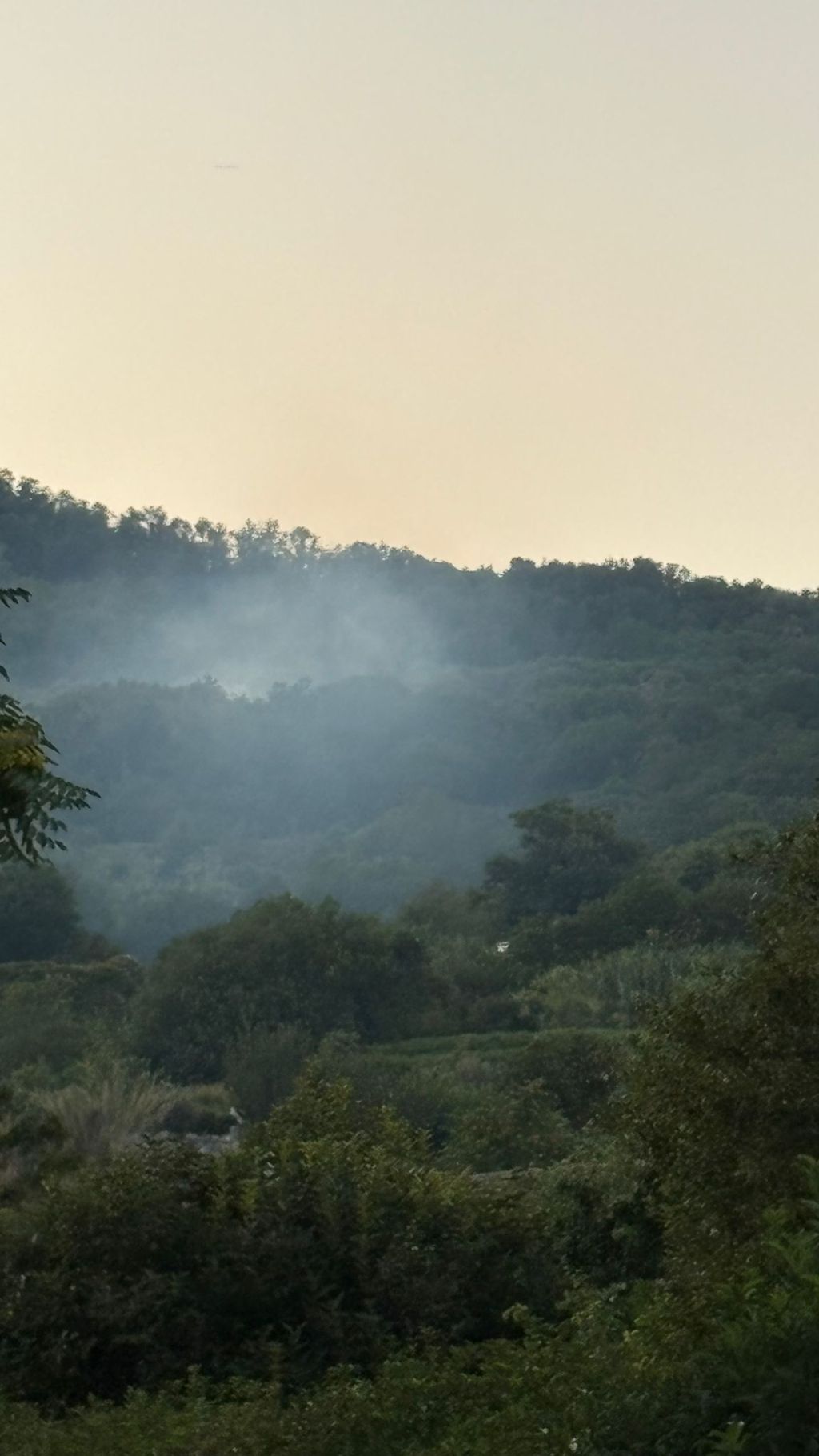 Principio di incendio all’Epomeo