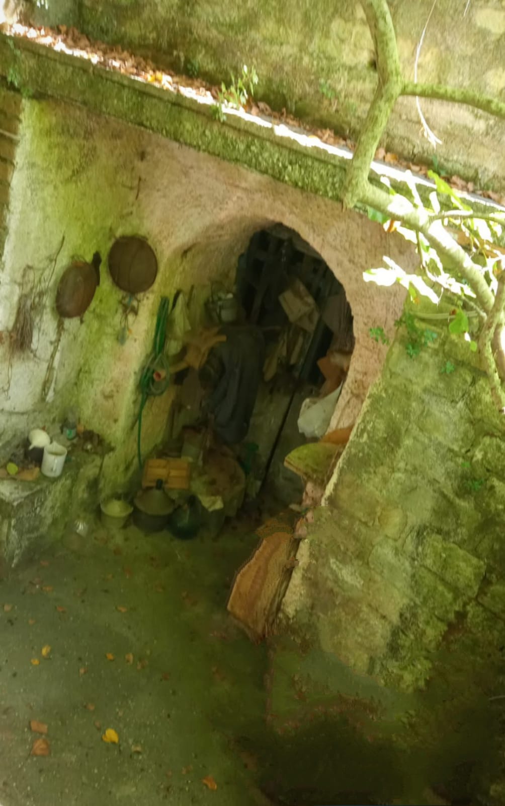 Il rito autunnale della vendemmia nella cantina di mio nonno Luigi a Via&nbsp;Aito