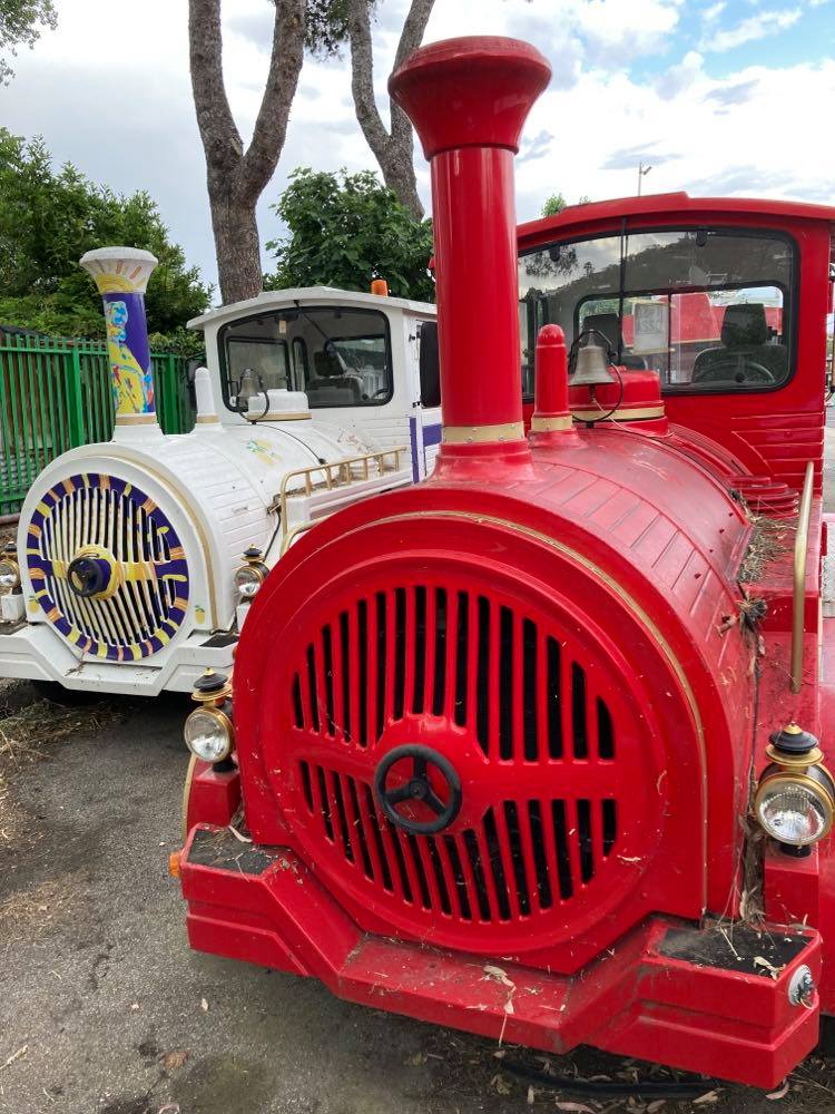 Barano, i trenini vanno all’asta per 40mila&nbsp;euro