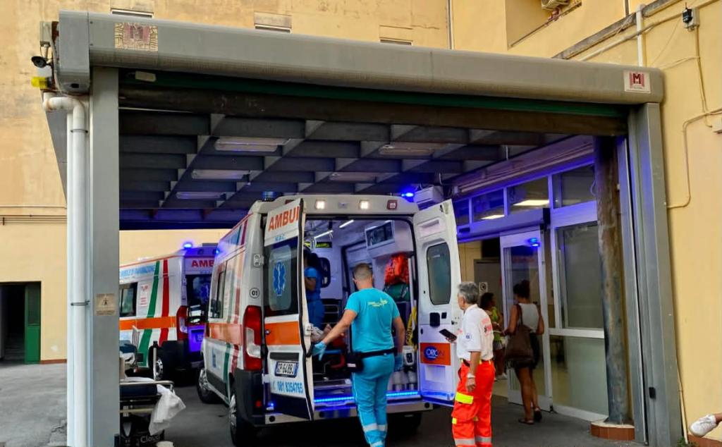 Schiappone, pit bull aggredisce donna: la Polizia spara e uccide il&nbsp;cane