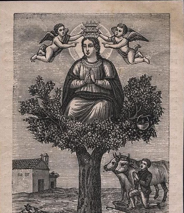 Ieri, ultimo sabato di aprile, si è festeggiata la Madonna Incoronata di Foggia, detta Madonna della&nbsp;Cercola