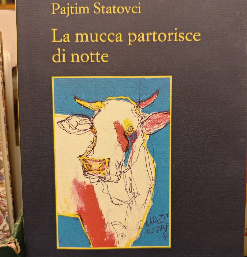 Per la rubrica “Libri in pillole” questa settimana vi presentiamo: Pajtim Statovci – La mucca partorisce di notte
