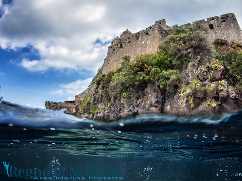 Quattro anni di sperimentazione con i pescatori: ultima tappa a Ischia per il progetto Life&nbsp;Dream