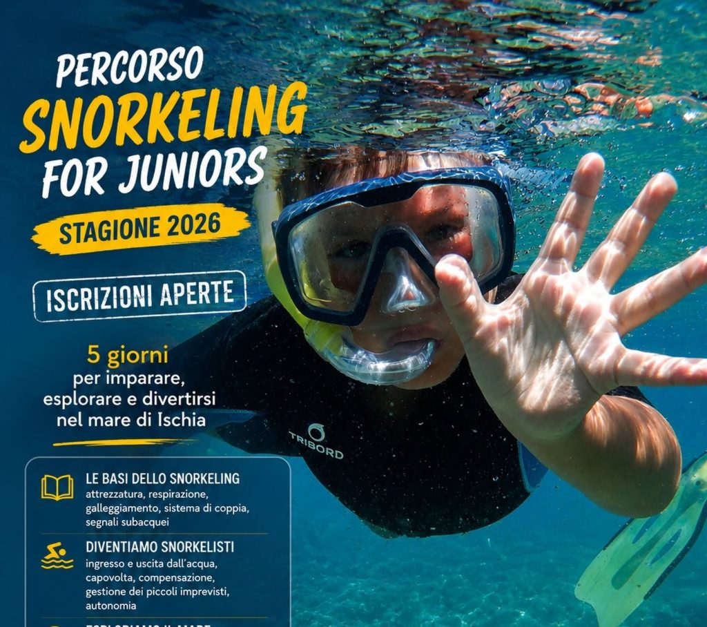 Snorkeling for Juniors 2026: a Sant’Angelo cinque giornate per scoprire il mare tra divertimento, natura e sicurezza con l’Associazione Nemo