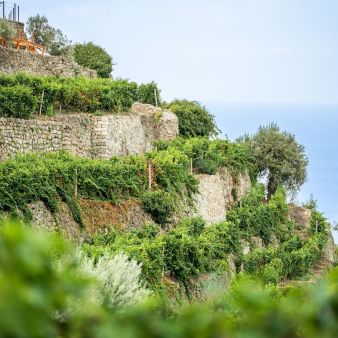 Le parracine ischitane: muri che raccontano la storia dell’isola