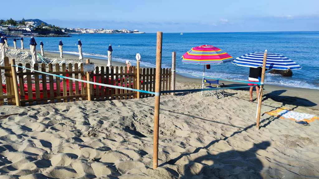 La caretta caretta ritorna a Ischia: primo nido della stagione sulla spiaggia di San&nbsp;Francesco