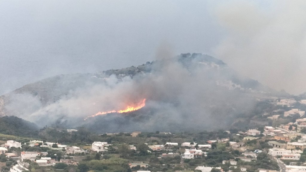 Forio, vasto fronte di fiamme in località La Pelara: incendio visibile anche da Serrara Fontana